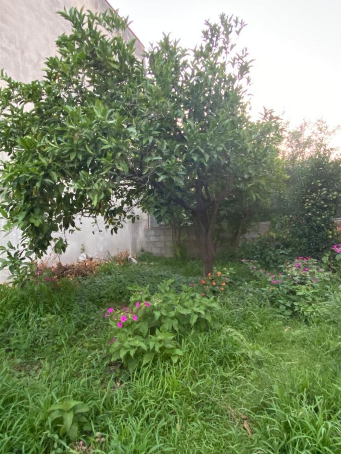 L'Incognita Bed & Breakfast San Nicolo d'Arcidano Exterior foto