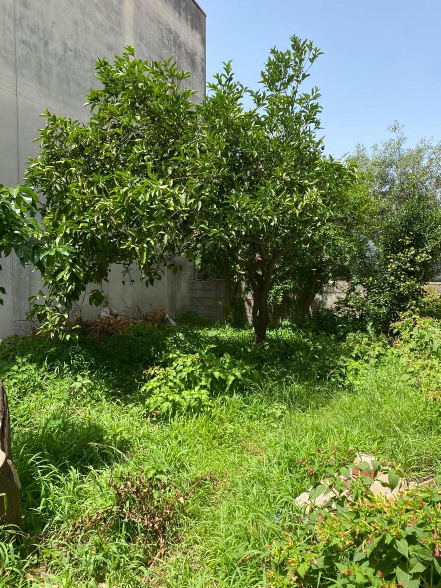 L'Incognita Bed & Breakfast San Nicolo d'Arcidano Exterior foto